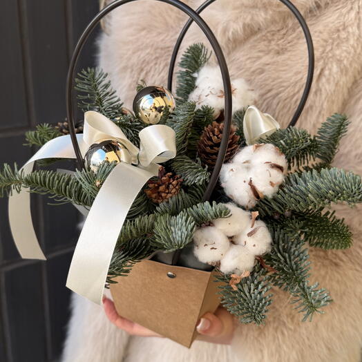 Новогодняя композиция с нобилисом