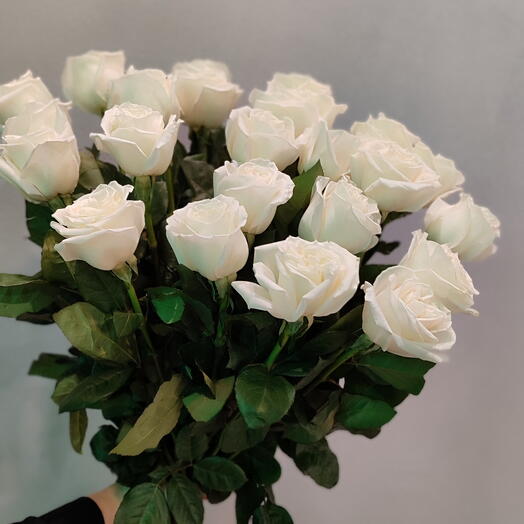 Букет из Пионовидных Белых Роз  (23шт)