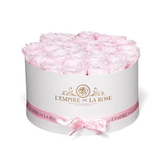 Box Place de la Concorde