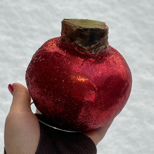 Большая луковица Амариллиса в воске