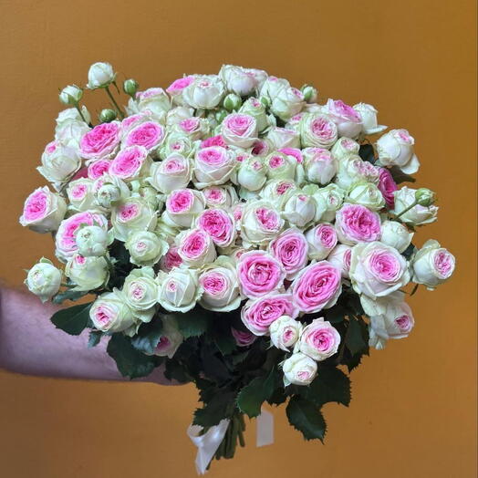 Розы джелато 29шт