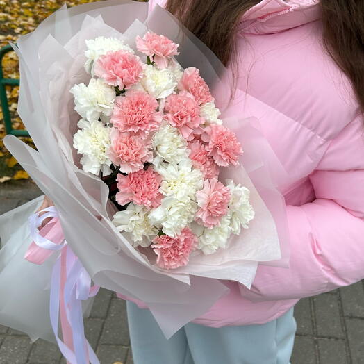 Dianthus