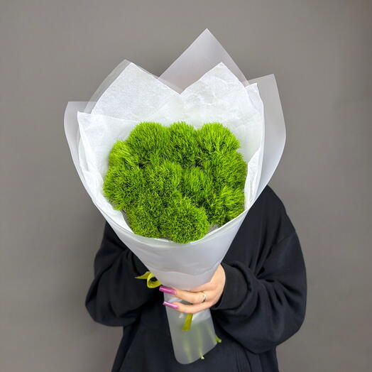 11 пушистых диантусов