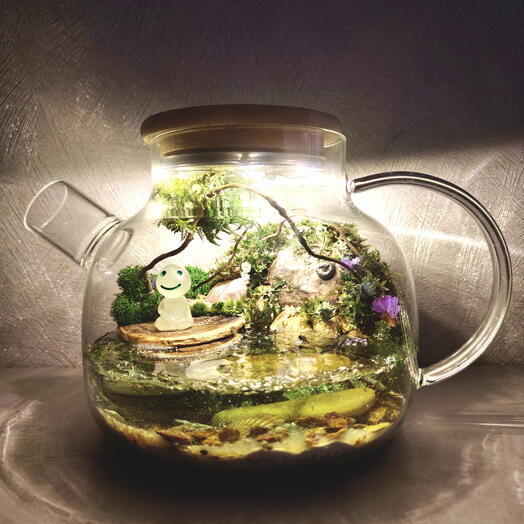 Моссариум в чайнике с подсветкой "Тайна хранителя леса"