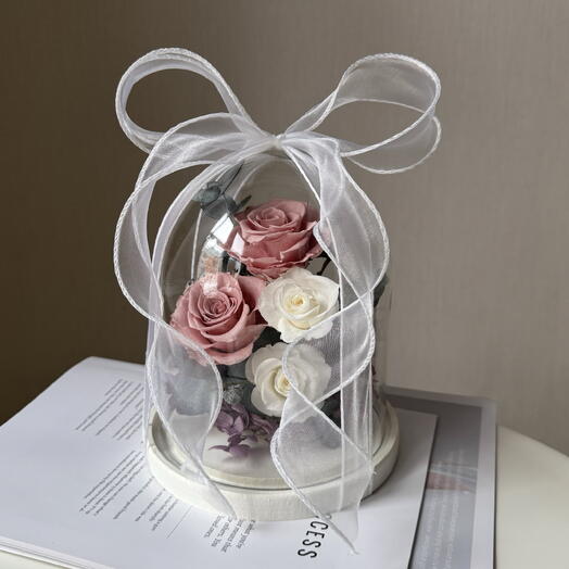 Клош с 5-ю стабилизированными розами ( роза в колбе)