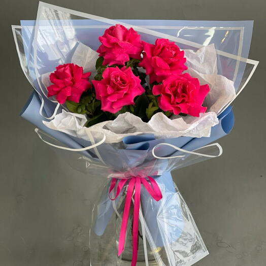 Магия цвета