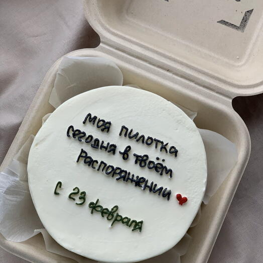 Бенто торт пилотка