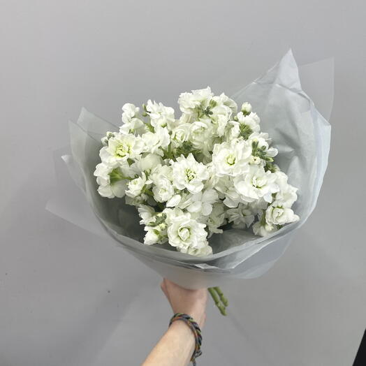 Белая маттиола S