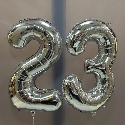 Шар Цифра 23