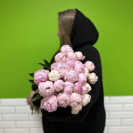 Пионы 25 шт