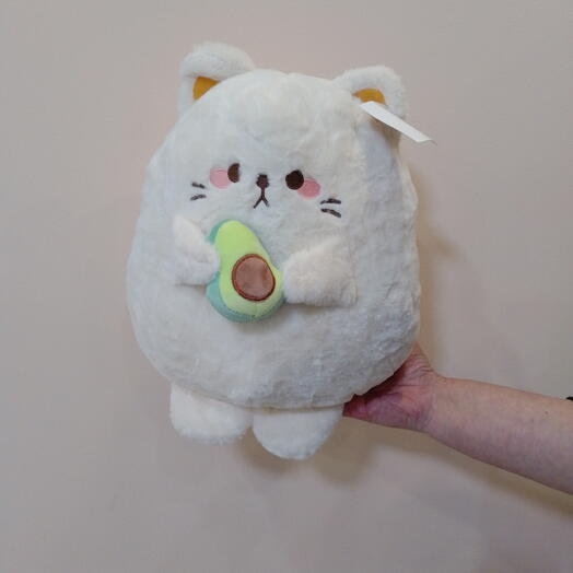 Котик с авакадо