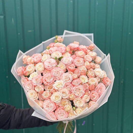 Pink spray roses