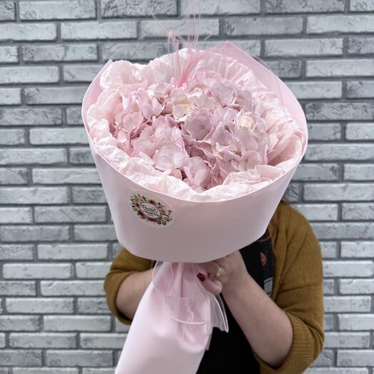 Розовая гортензия 🌸
