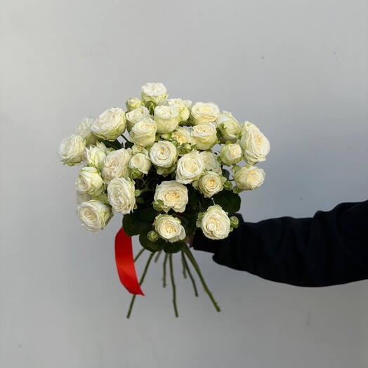 9 мисс бомбастик 50см