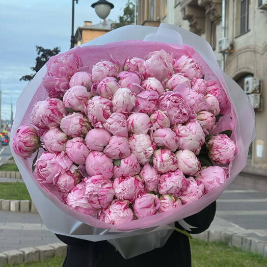 Пионы 51шт Розовый