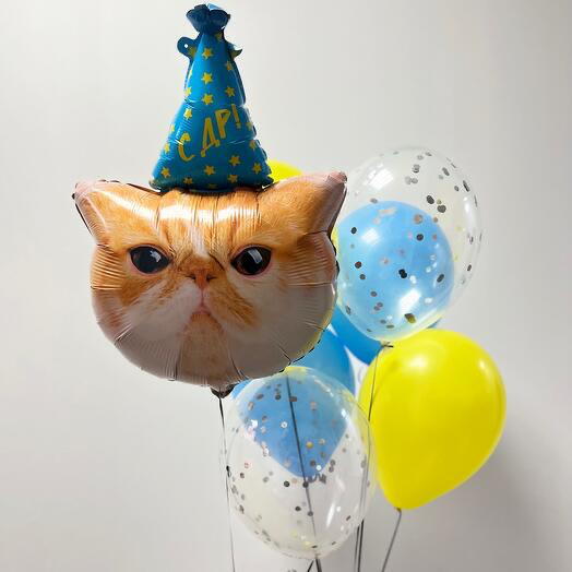Котик с Др