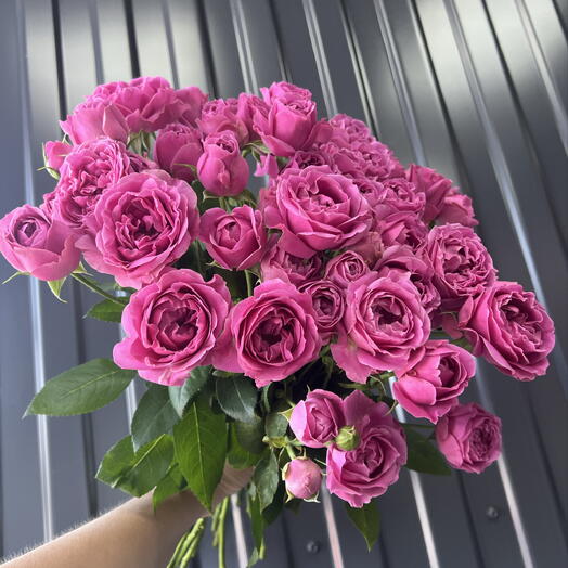 Мисти ♥️