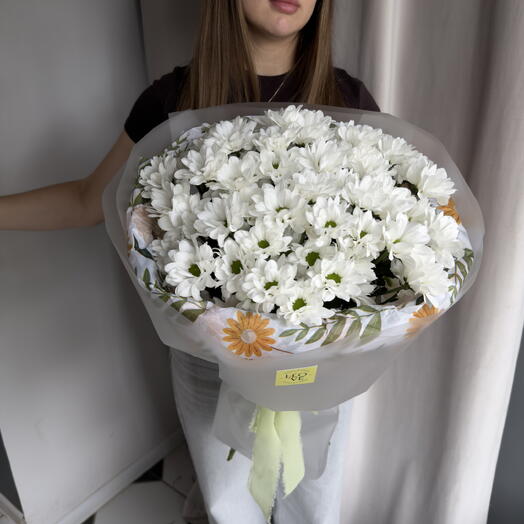 Моно хризантем ромашки