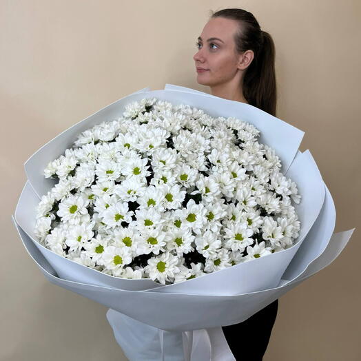 Букет гигант из хризантем 25шт