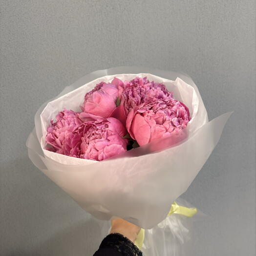 Пионы🎀