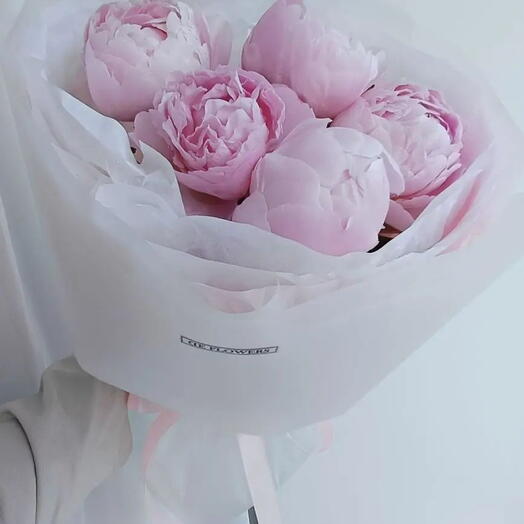Нежные пионы 🌸