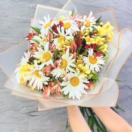 Альстромерия 19шт с ромашками в упаковке