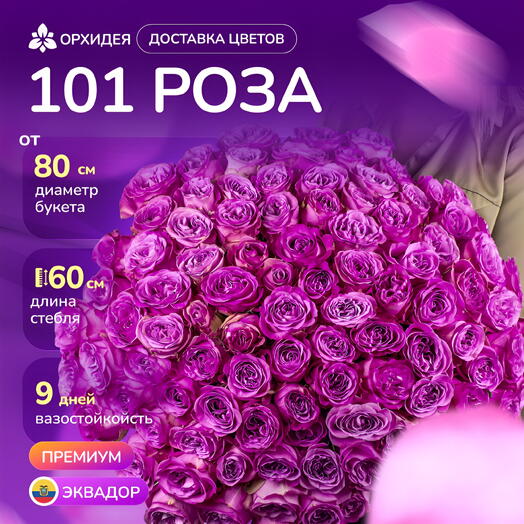 Букет 101 пионовидная роза "Куинси"