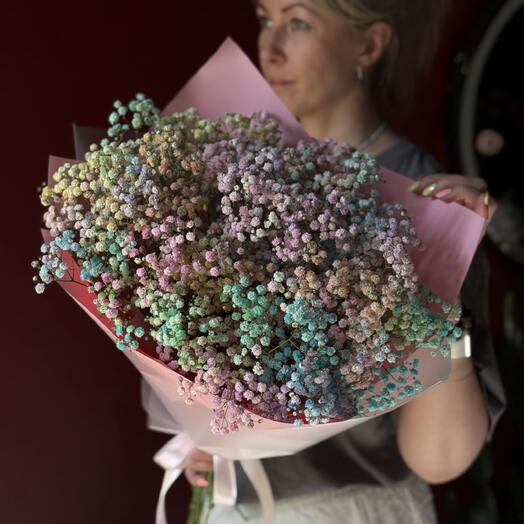 Gypsophila