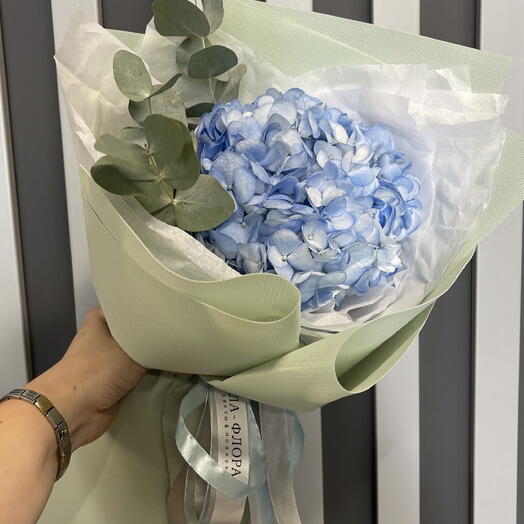 Un delicado Ramo de hortensias