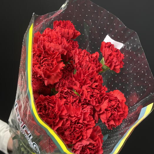 Гвоздика красная (25 шт)