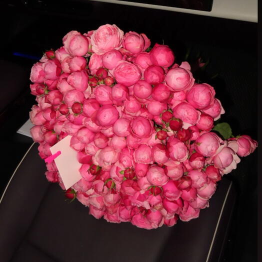 Grande Bloom