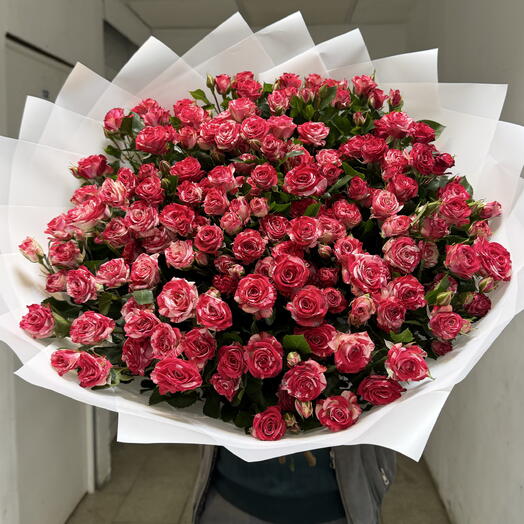 Кустовая Роза файрфокс
