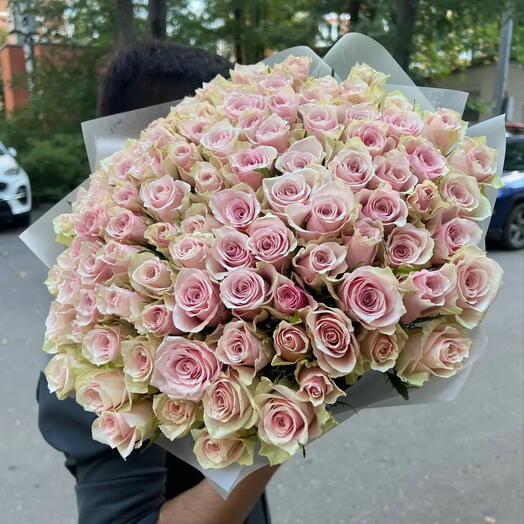 Роза 101
