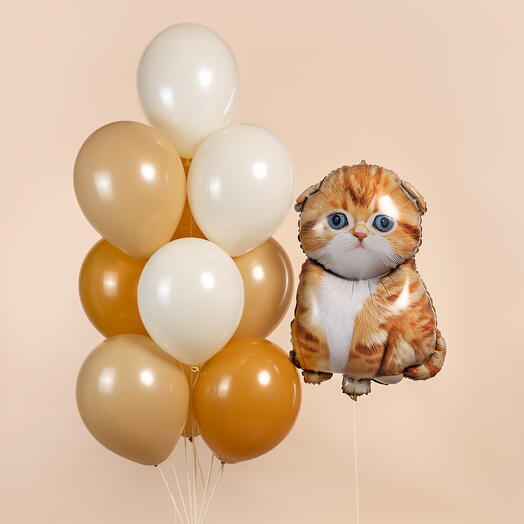 Композиция из шаров "Котёнок", 11 шаров