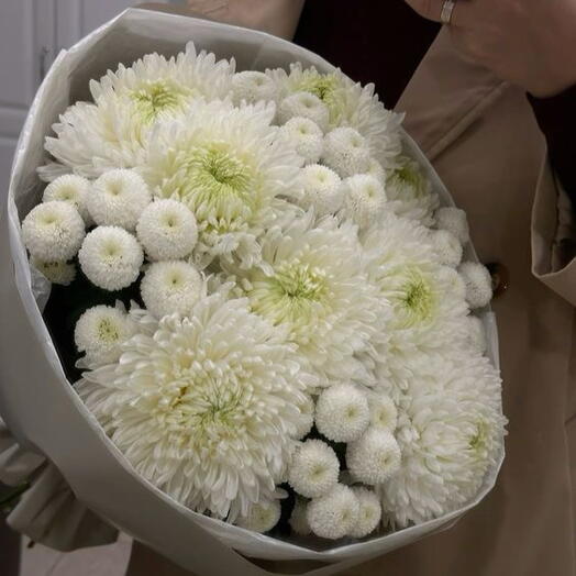 Сборный букет из одноголовых и кустовых хризантем