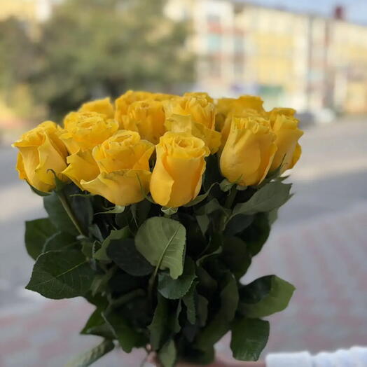 Роза желтая