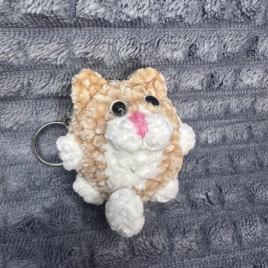 Кот Бублик