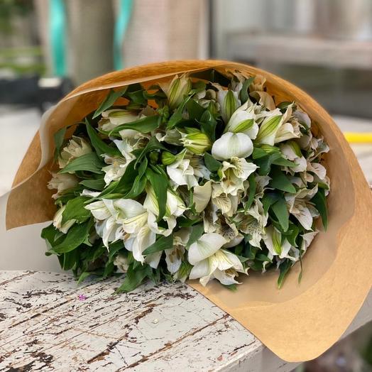 Alstroemeria