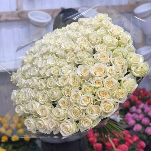 101 white roses 🤍🌿