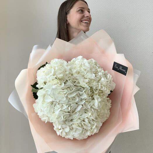 5 aerial hydrangeas