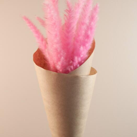 Пампас розовый