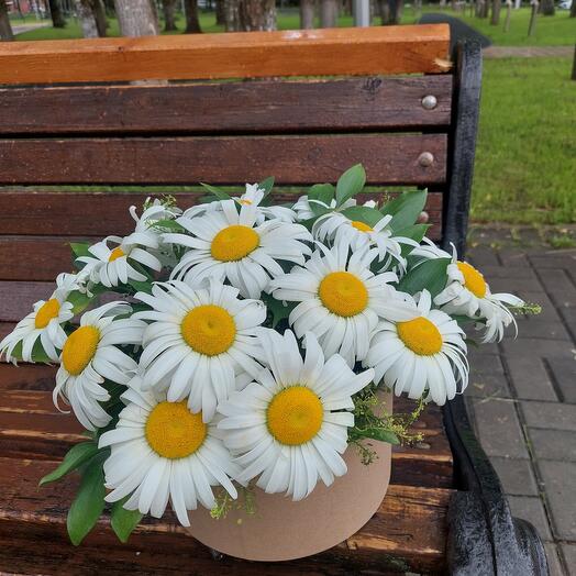 Цветы в коробке "Ромашки"