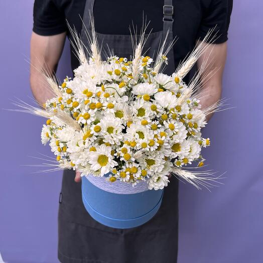 Flowers in a box "Celestina": chamomile and santini