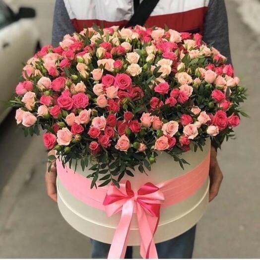 Rosas arbustivas