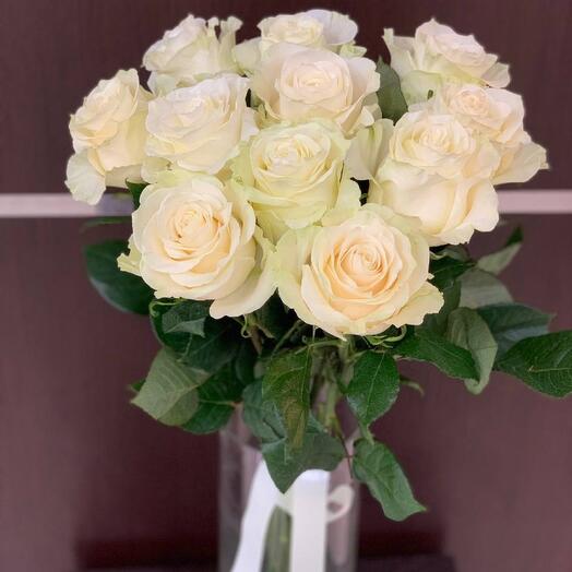 Rosa MONDIAL (brote grande)
