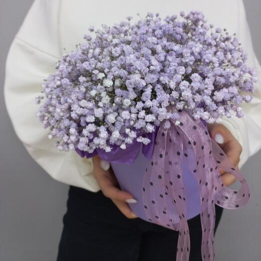 Гипсофила в коробке 7