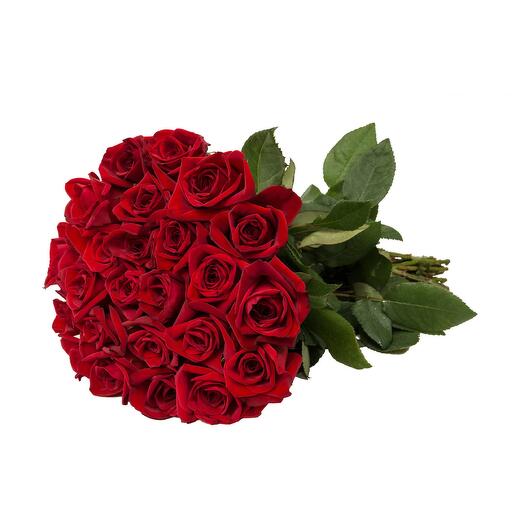 Romantic Red Roses Bunch - 20pcs
