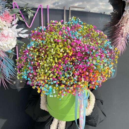 Яркая гипсофила в коробке