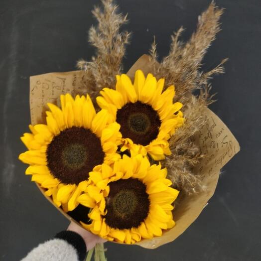 Three suns sunflower
