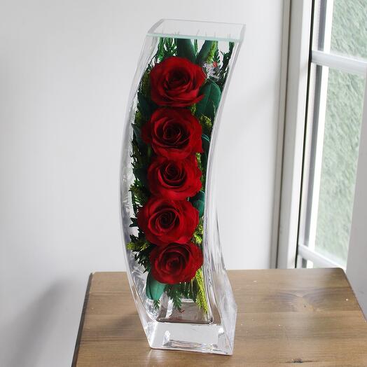 Розы в вакууме🌹